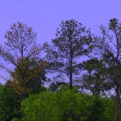 万博manbetx登录下载手机版