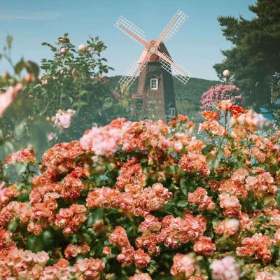 斗牛游戏大厅手机app下载截图