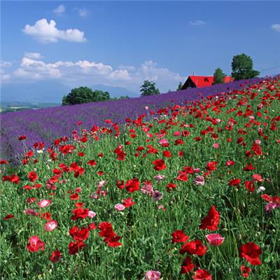 万博manbetx登录下载手机版