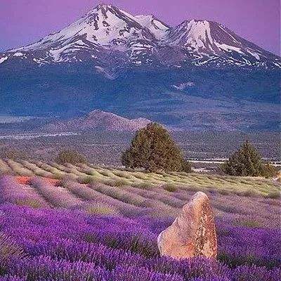 万博manbetx登录下载手机版